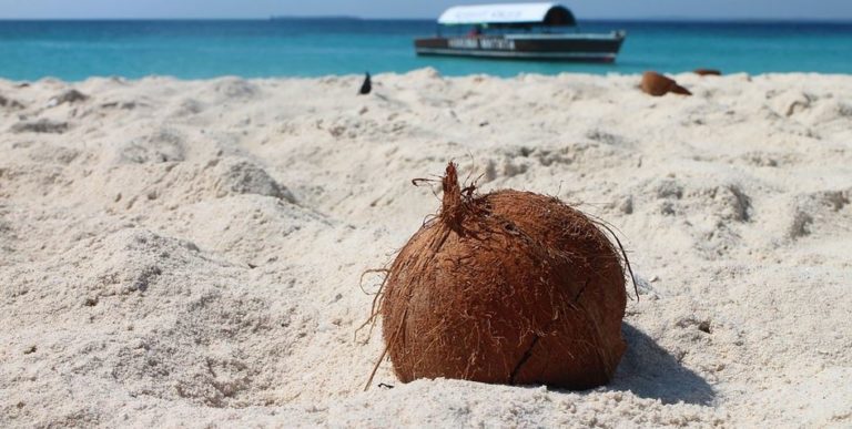 isolation combles laine de coco