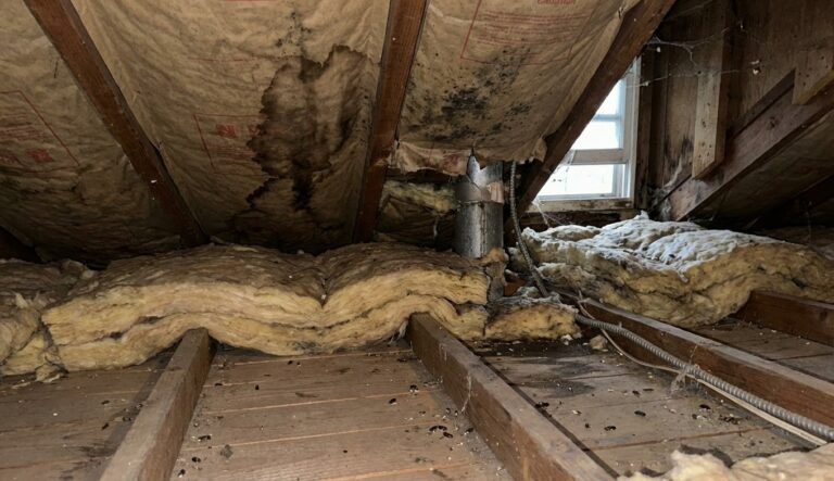 durée de vie d'isolant comble